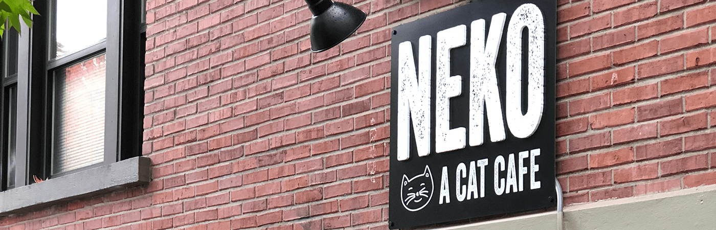 Coyote NEKO A Cat  Cafe  SIP THE DRINKS PET THE CATS   Coyote NEKO A Cat  Cafe  SIP THE DRINKS PET THE CATS