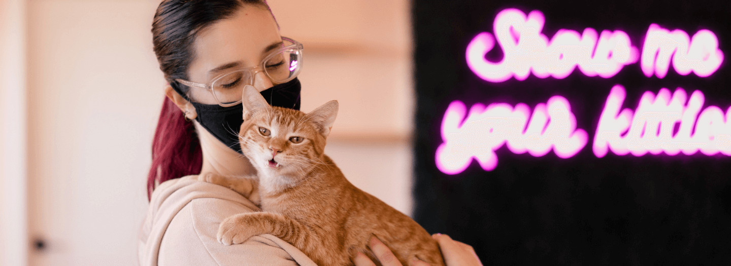 Events, NEKO: A Cat Cafe, SIP THE DRINKS. PET THE CATS.